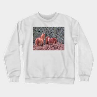 New Forest Ponies Crewneck Sweatshirt